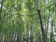 -林间山庄