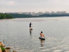 -丁香湖公园