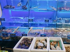 -启东小海鲜(庄先湾路1号店)