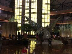 -上海滴水湖皇冠假日酒店