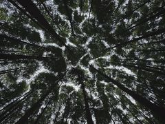 -山王坪喀斯特国家生态公园