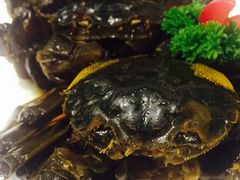 -新光酒家·河豚·海鲜·蟹料理(浦东店)