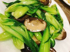 -林之六八·6886大连老菜馆