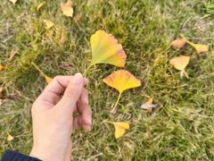 -白鹭湾湿地公园