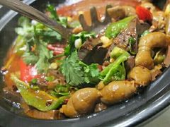 猪血肥肠-雅和生态渔庄·宜城锅巴饭(龙灵山公园店)