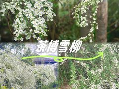 -中国茶叶博物馆(双峰馆区)