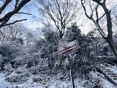 -紫金山山顶公园