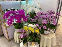 -EPOQUE·一刻花店(兴业太古汇店)