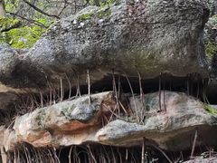 -寻龙山风景旅游区