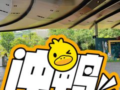 -新加坡飞禽公园