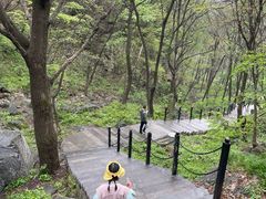 -王顺山国家森林公园