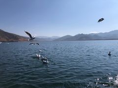 -丽江泸沽湖景区