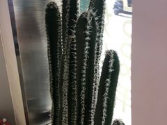 -仙雨林·奶茶鲜果茶(书院巷店)