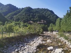 -沣峪口