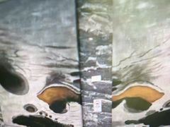 -珠海棕泉水疗酒店(拱北口岸高铁站店)