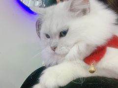 -极木²邸 人与宠物·互动社区