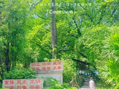 -晓港公园