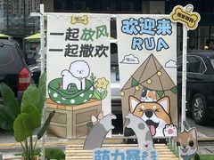 -坂田天虹