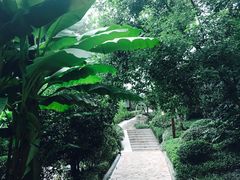 -天目湖涵田半山温泉