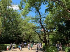 -上野公园花园稻荷神社(忍岡稲荷神社)