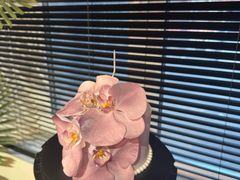 -木沫甜品店