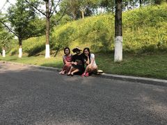 -铁山坪森林公园