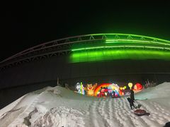 -沈阳奥体冰雪嘉年华