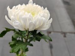 -侵华日军南京大屠杀遇难同胞纪念馆