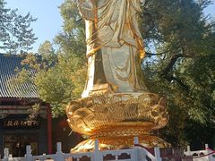 -哈尔滨极乐寺