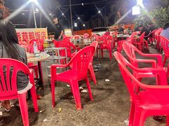 -霞姐屯昌枫木香草鸭店(海螺店)