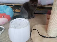 -袖虎宠物(锦绣生态园店)