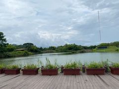 -福田红树林生态公园