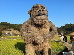 -福建土楼（华安）旅游区•大地土楼群