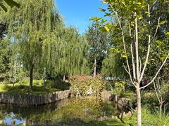-莲花池公园