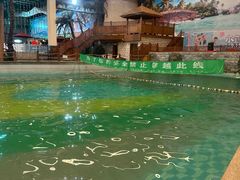 -南宫温泉水世界