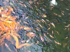 -水都餐厅