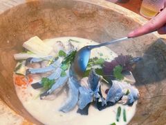 青椒紫苏锅-云中鱼蒸汽石锅鱼(浦东食品城店)