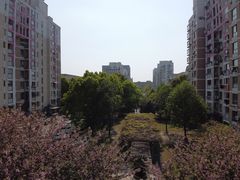 -世博家园八街坊