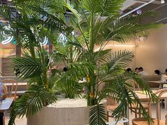 -卡朋西餐(悦汇城店)