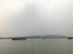 -海鸥岛