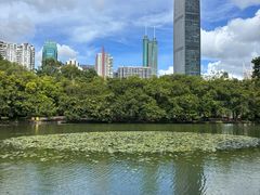 -勝記酒家·37年老字号·经典粤菜(荔枝公园店)
