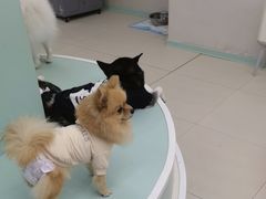 -怪兽屋·羊驼·猫咖·狗咖(俊华广场店)