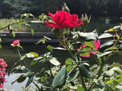 -元大都城垣遗址公园