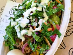 -油梨树AVOCADO TREE(顺义新国展店)