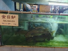-真浪大家乐海鲜餐馆