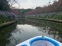 -苏州太湖西山岛开心农场