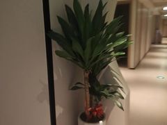 -荔湾足浴·按摩·SPA会所(龙华店)