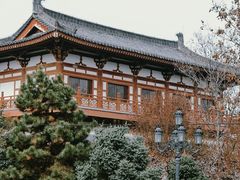 -西安青龙寺遗址景区