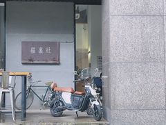 -猫里有甜