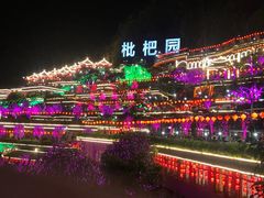 -枇杷园食为鲜火锅(南山店)